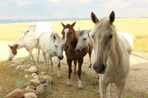 Agroturismo Spiritriders Retreat