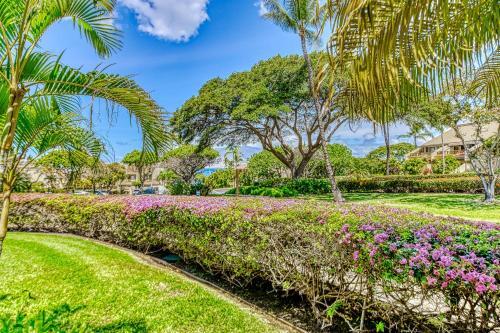 Maui Kamaole
