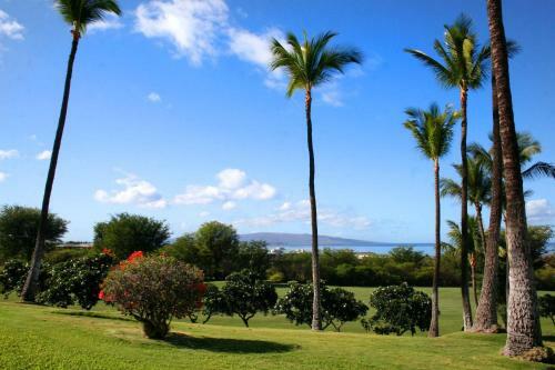 Hotel Wailea Ekolu #401 By Ali'i Resorts