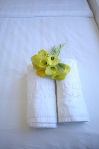 Dalat Maya Hotel