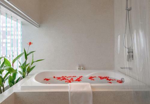 Prana Boutique Hotel And Apartments