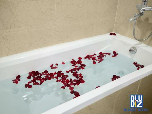 Blubiz Hotel My Dinh