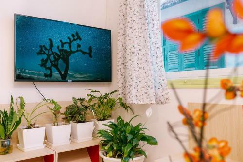 Avocado Apartment