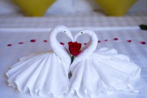 Lavila Homestay Hoi An