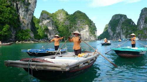 Ocean Dragon Hotel Halong