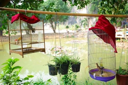 Posada Trang An Passion Homestay