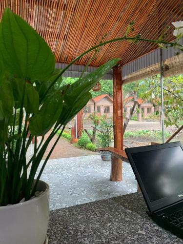 Lodge Trang An Memory Homestay