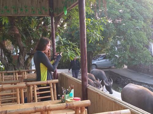 Hotel Hang Mua Central Homestay
