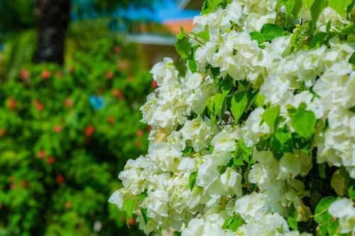 Hotel Sun Villa Muine