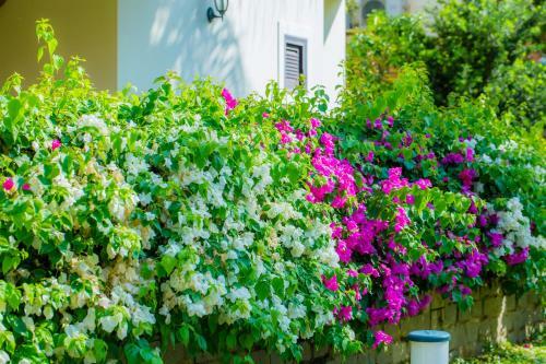 Hotel Sun Villa Muine