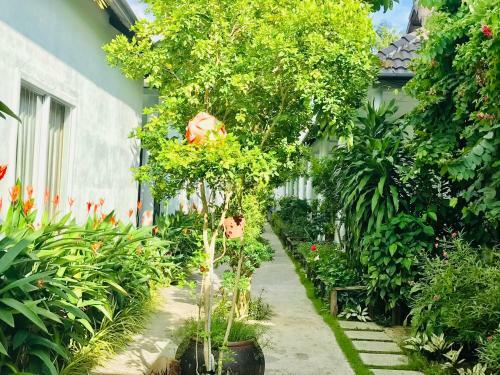 Hotel Sunlight Bungalow
