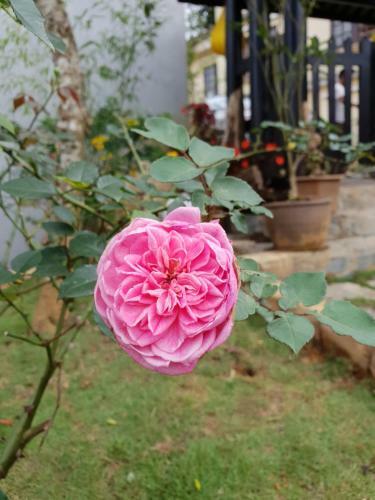 Hostal Sapa Charming Homestay