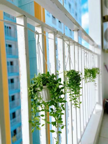 Apartamento Titan Homestay V?ng T�u
