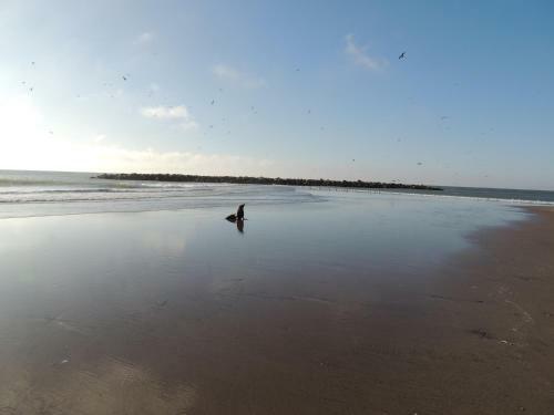 Lodge Caba�as Klippen
