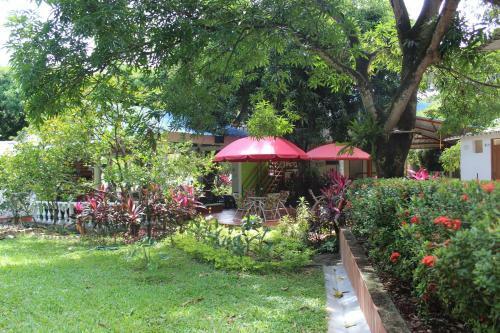 Hotel Villa Luz