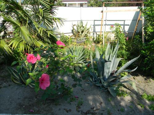 Hostal Pomegranate Yard