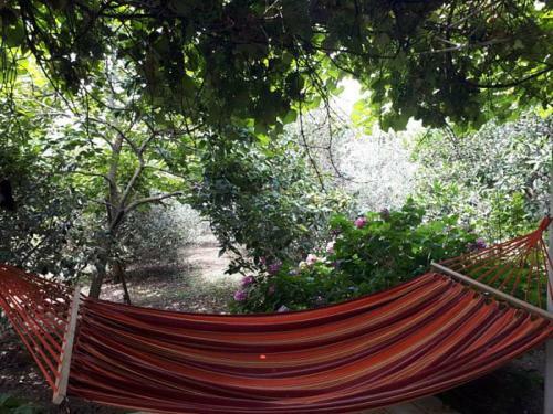 Hostal Pomegranate Yard