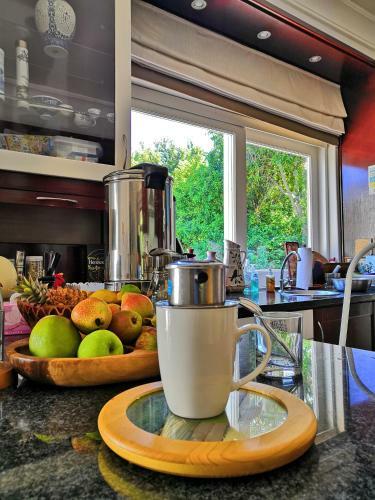 Bed & Breakfast T House