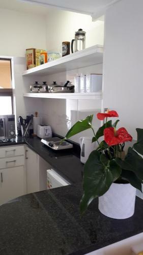 Apartamento Mountain View Corner