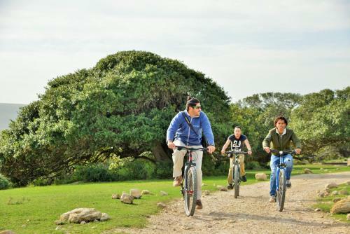 Hotel de Hoop Collection - Campsite Rondawels