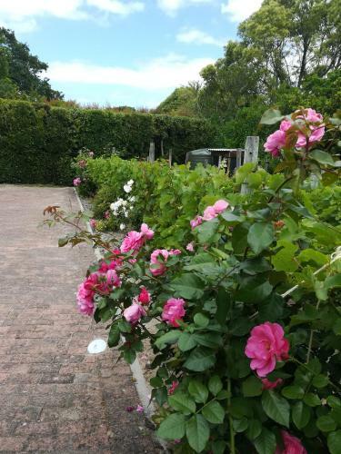 Bed & Breakfast Le Petit Vignoble