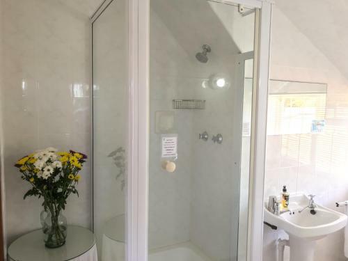 Howards End Manor B&B