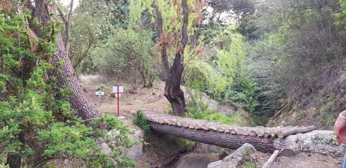 Hostal His Vessel Guesthouse Clarens Fs