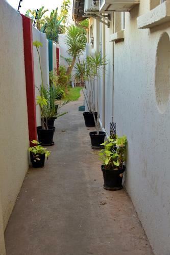 Hotel Houghton Guesthouse