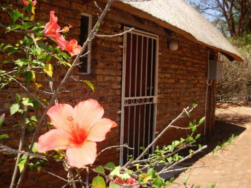 Jacaranda Self Catering Apartments