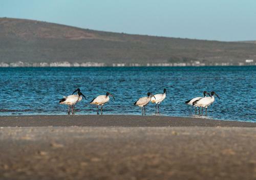 Shark Bay Hotel & Spa