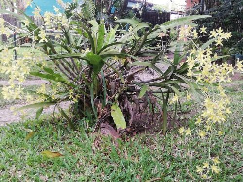 Bed & Breakfast Maputaland Lodge