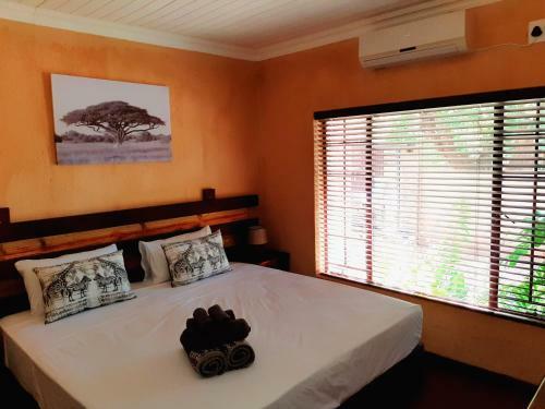 Hostal Snl 12 Dwergarend