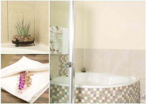 Hostal Pumbaa Wildlife Park & Accommodation