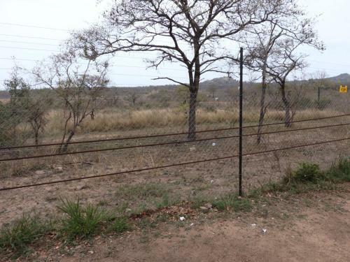 Kruger Park Tours Glamp