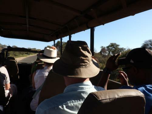Kruger Park Tours Glamp