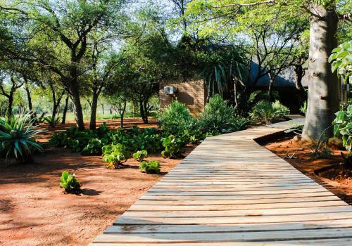 Villa Zingela Nature Reserve - Leadwood Lodge