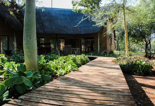 Villa Zingela Nature Reserve - Leadwood Lodge