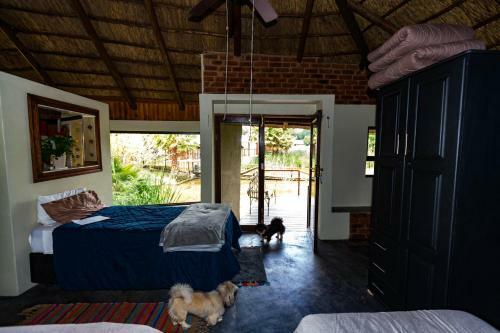 Albergue Inyameko Bnb