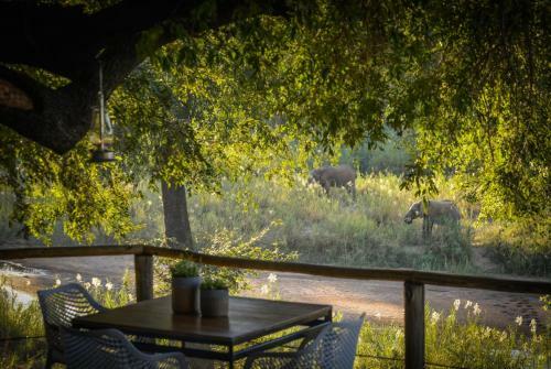 Lion Sands Narina Lodge