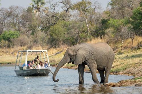 Lodge Wilderness Safaris Toka Leya