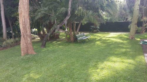 Hostal Palm Cottage