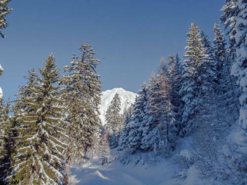 Apartamento Chalet Avista