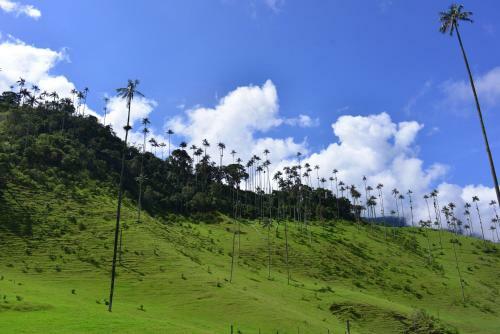 Hotel El Mirador Del Cocora