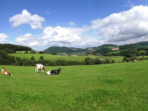 Spacious Apartment Near Forest In Freienhagen