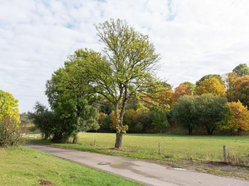 Spacious Apartment Near Forest In Freienhagen