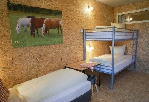 Freizeit Reitstall Schammelsdorf