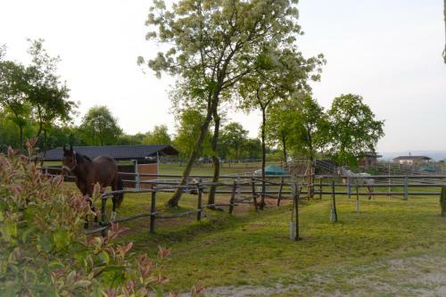 Agroturismo Pietra Cavalla - Ranch & Resort