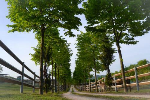 Agroturismo Pietra Cavalla - Ranch & Resort