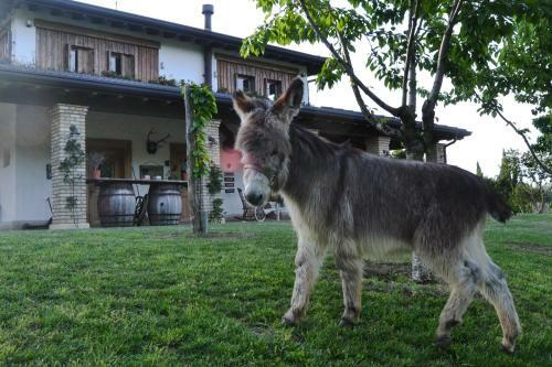 Agroturismo Pietra Cavalla - Ranch & Resort