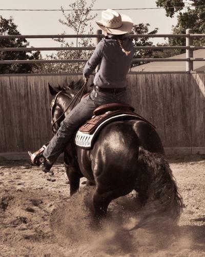 Agroturismo Pietra Cavalla - Ranch & Resort